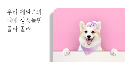 특가몰